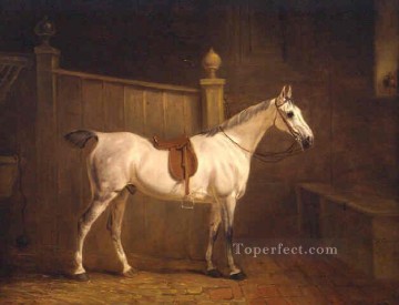 Caballo Painting - am091D animal caballo